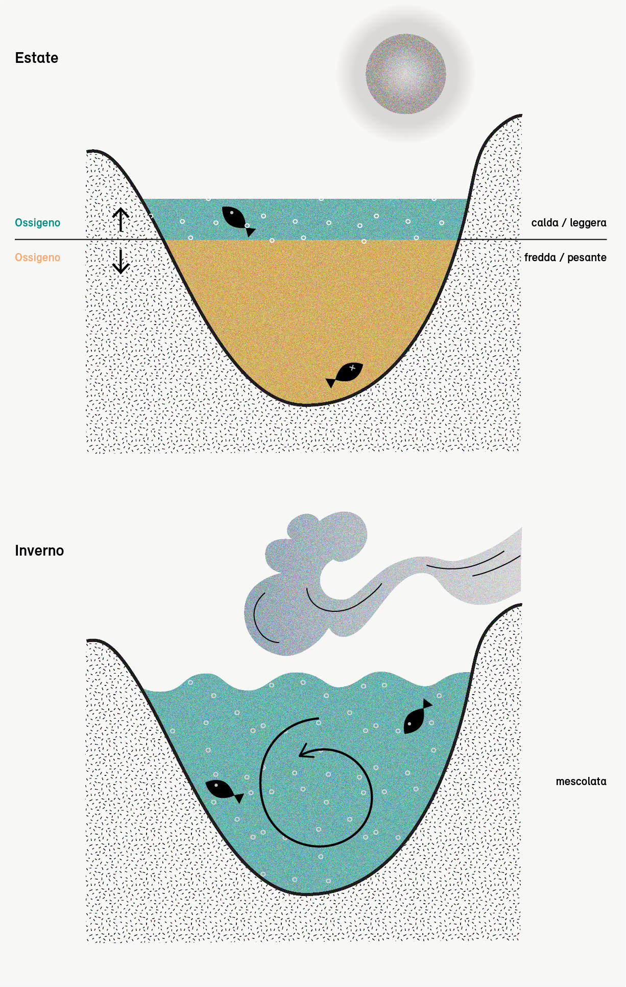 Stratificazione dell'acqua in estate – Mescolamento dell'acqua in inverno